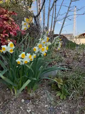 間々観音（龍音寺）(愛知県)