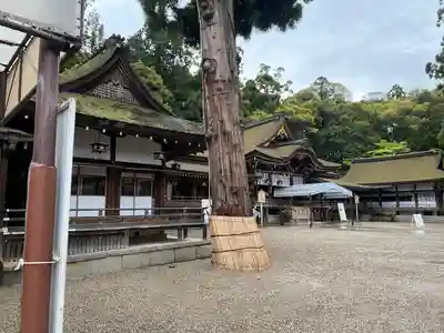 大神神社(奈良県)