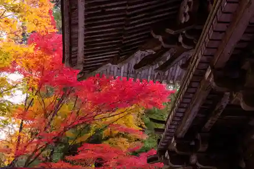 大矢田神社(岐阜県)