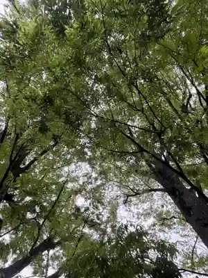 前川神社(埼玉県)
