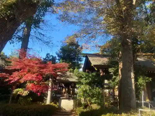 阿佐ヶ谷神明宮の景色