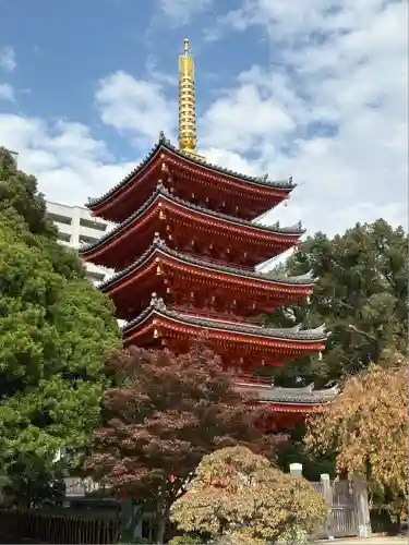 東長寺の塔