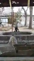 蘇我比咩神社の手水舎