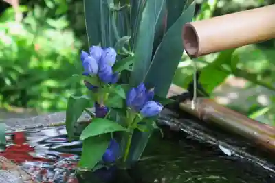 宝蔵寺(京都府)