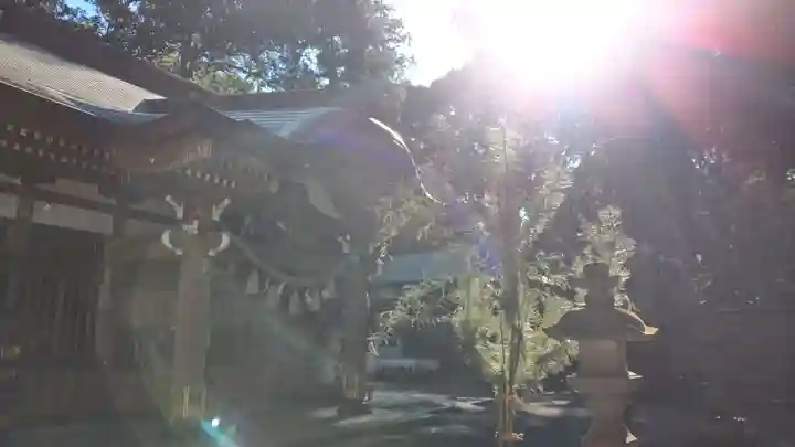 麻賀多神社の本殿・本堂