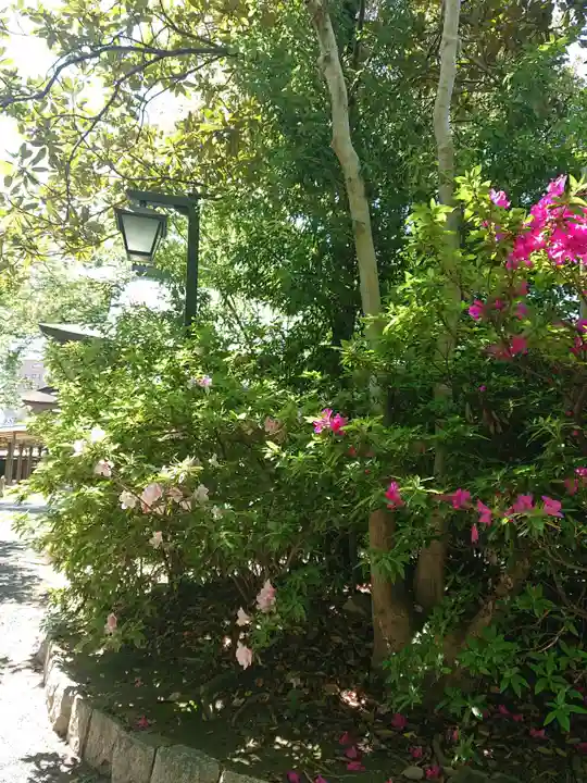 尾張大國霊神社(国府宮)の自然