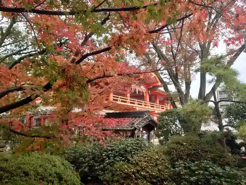 千葉神社(千葉県)