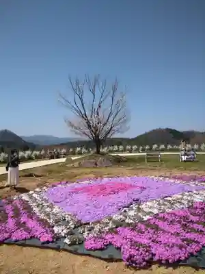 巳徳神社の自然