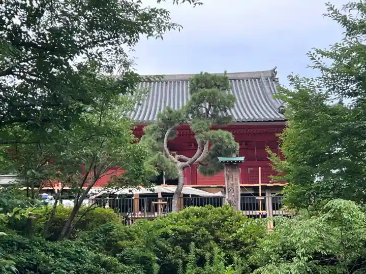 清水観音堂(東京都)