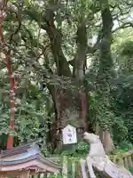 八幡朝見神社(大分県)
