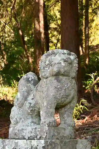 三所神社（桑の川の大杉）(高知県)