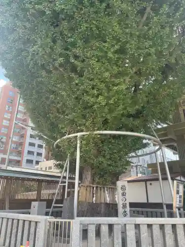 櫛田神社(福岡県)