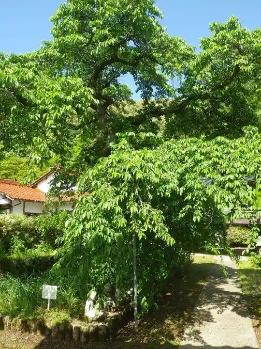 光明寺(山口県)