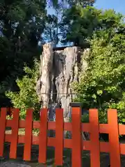 鶴岡八幡宮の自然