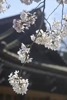 三嶋大社(静岡県)