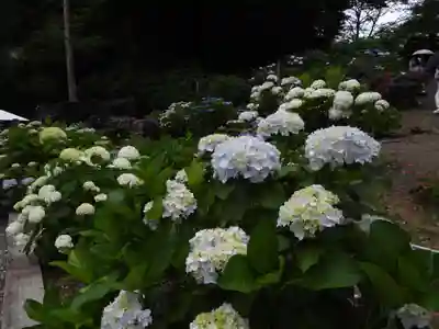 六條八幡宮(高知県)