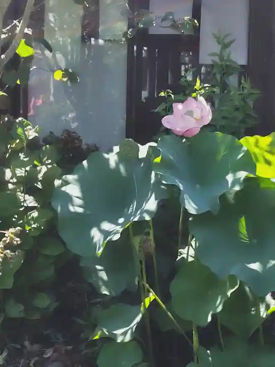 来福寺(福島県)