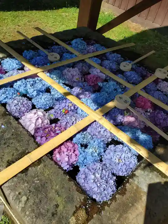 土津神社|こどもと出世の神さまの手水舎