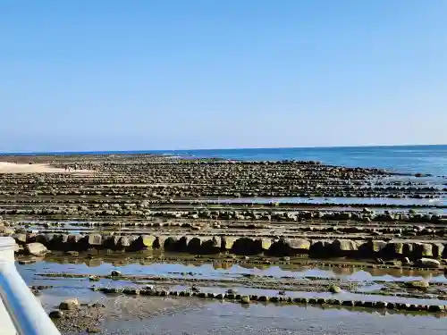 青島神社（青島神宮）の自然