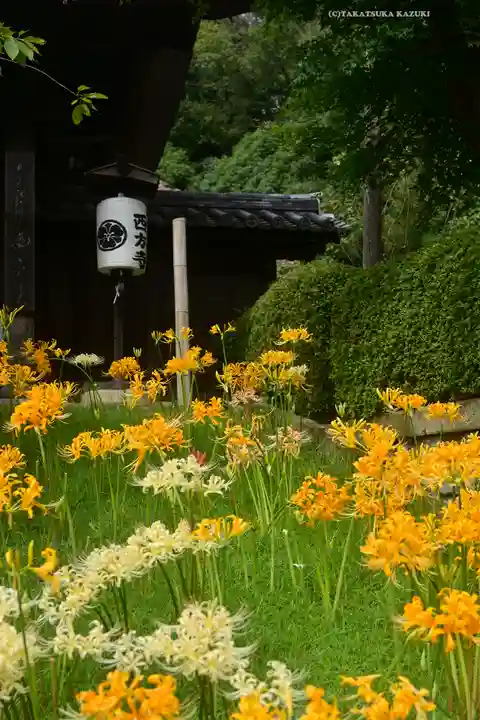 横浜 西方寺(神奈川県)