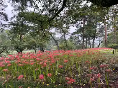 埼玉縣護國神社(埼玉県)