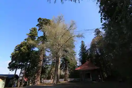 来福寺の景色