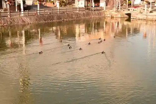 吉備津神社(広島県)