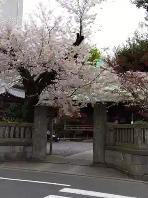護国院(東京都)