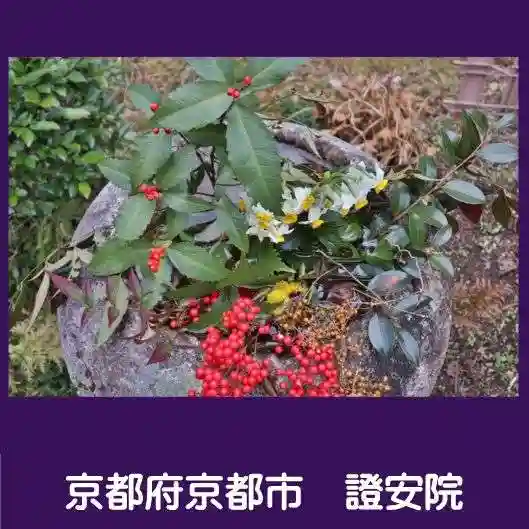 證安院(京都府)