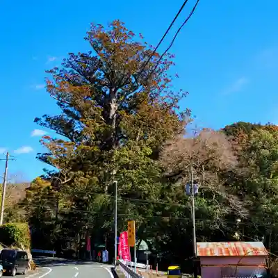 武速神社(静岡県)