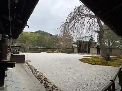 高台寺（高台寿聖禅寺・高臺寺）の{uncategorized: "未分類", other: "その他", undefined: "問題あり", building: "その他建物", grave: "お墓", sacred_gate: "鳥居", guardian: "狛犬", statue: "像", buddha: "仏像", history: "歴史", nature: "自然", garden: "庭園", animal: "動物", pagoda: "塔", temizu: "手水舎", mountain_gate: "山門・神門", sanctuary: "本殿・本堂", subordinate: "末社・摂社", art: "芸術", scenery: "景色", jizo: "地蔵", ema: "絵馬", goshuin: "御朱印", omikuji: "おみくじ", items: "授与品その他", amulet: "お守り", goshuincho: "御朱印帳", eats: "食事", festival: "お祭り", votive_dance: "神楽", shichigosan: "七五三参", wedding: "結婚式", experience: "体験その他", initially: "初詣", around: "周辺", anti_infection: "感染症対策"}