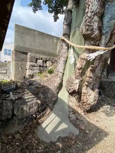 伊勢神社(岡山県)