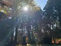 慈光寺(埼玉県)