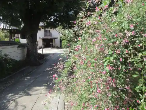 宋林寺(東京都)