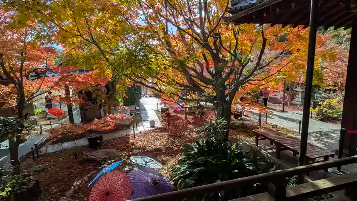 勝林寺(京都府)