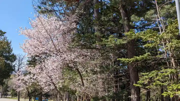 上川神社の自然