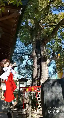 五方山熊野神社のその他建物