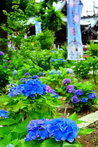 磐井神社(東京都)