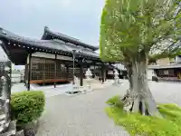 長福寺の{uncategorized: "未分類", other: "その他", undefined: "問題あり", building: "その他建物", grave: "お墓", sacred_gate: "鳥居", guardian: "狛犬", statue: "像", buddha: "仏像", history: "歴史", nature: "自然", garden: "庭園", animal: "動物", pagoda: "塔", temizu: "手水舎", mountain_gate: "山門・神門", sanctuary: "本殿・本堂", subordinate: "末社・摂社", art: "芸術", scenery: "景色", jizo: "地蔵", ema: "絵馬", goshuin: "御朱印", omikuji: "おみくじ", items: "授与品その他", amulet: "お守り", goshuincho: "御朱印帳", eats: "食事", festival: "お祭り", votive_dance: "神楽", shichigosan: "七五三参", wedding: "結婚式", experience: "体験その他", initially: "初詣", around: "周辺", anti_infection: "感染症対策"}