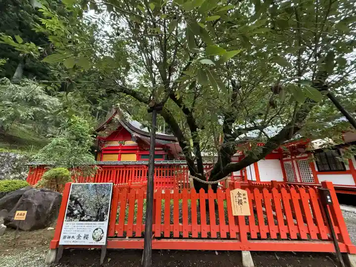 金櫻神社(山梨県)