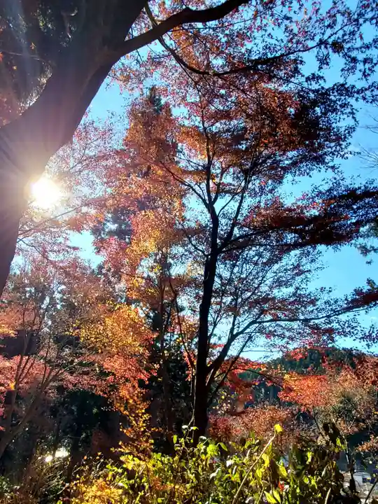 石都々古和気神社(福島県)