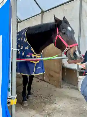 藤森神社(京都府)