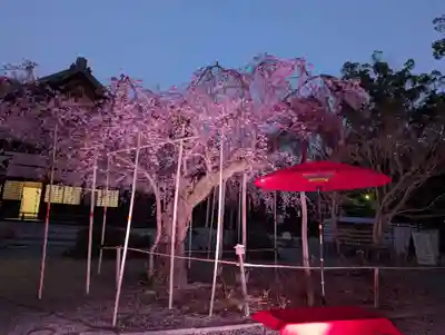 水無瀬神宮(大阪府)