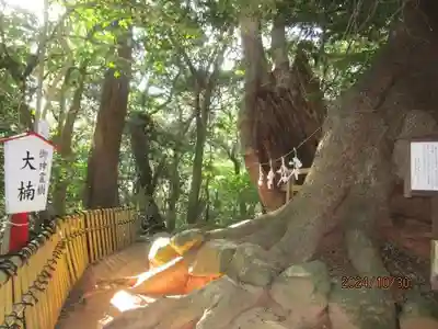 住吉神社(山口県)