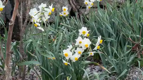 大林院(滋賀県)