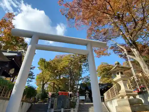 安積國造神社の鳥居