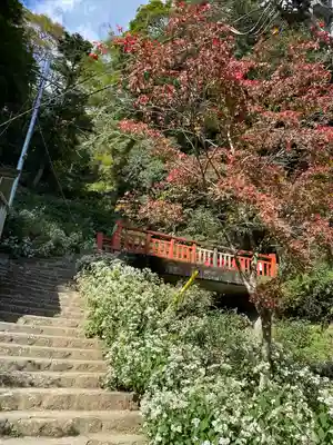 大山寺(神奈川県)