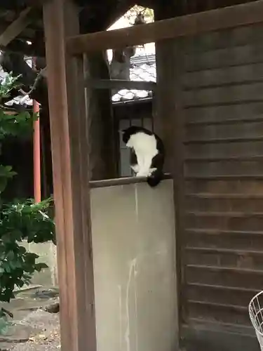徳照寺の動物
