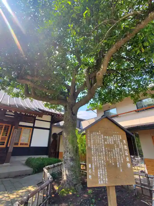 西光寺(福島県)