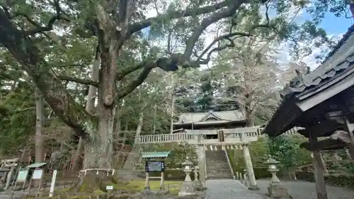 事任八幡宮(静岡県)